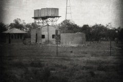 Iron and Saltbush, Near Wilcannia, NSW