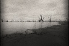 Just Before the Fish Die 2, Lake Pamamaroo, Menindee, NSW