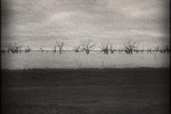 Just Before the Fish Die 3, Lake Pamamaroo, Menindee ,NSW