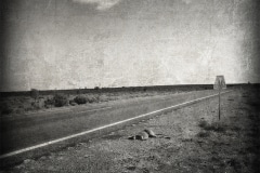 Perished Roadside