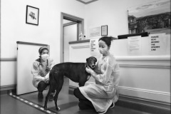 Katoomba Veterinary Surgery - Vet Nina and Nurse Stacee with Floyd