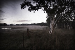 Tracy Ponich: <em>Hush 2, Old Mandemar Road, Berrima</em>, photographic print  on cotton fibre  paper, Tasmanian Oak frame with museum glass, 92 x 68 cm.