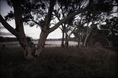 Tracy Ponich: <em>Hush 1, Old Mandemar Road, Berrima</em>, photographic print  on cotton fibre  paper, Tasmanian Oak frame with museum glass, 92 x 68 cm.