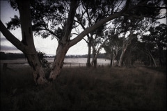 Tracy Ponich: Hush 1, Old Mandemar Road, Berrima, photographic print  on cotton fibre  paper, Tasmanian Oak frame with museum glass, 92 x 68 cm.