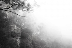 Tracy Ponich: Prince Henry Meets Lady Carrington, photographic print  on cotton fibre  paper, Tasmanian Oak frame with museum glass, 100 x 73 cm.