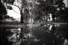 Tracy Ponich: Reflections After Rain, Cecil Hoskins Reserve, photographic print  on cotton fibre  paper, Tasmanian Oak frame with museum glass, 63 x 63 cm.