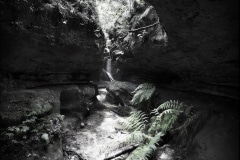 Tracy Ponich: Secret Place, Centennial Glen, photographic print  on cotton fibre  paper, Tasmanian Oak frame with museum glass, 86 x 73 cm.