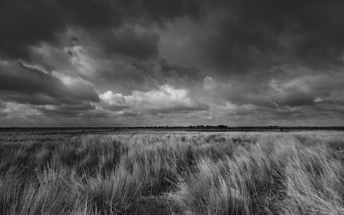 Tracy Ponich, Feathermark Photography