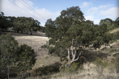 Green Slopes Farm, SA