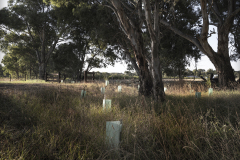 Hither & Yon Vineyard, McLaren Vale, SA