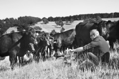 Scott with his cows, Green Slopes Farm, SA