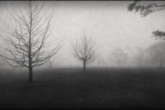 Tracy Ponich: Forecast: Mist 2