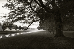 Tracy Ponich: Mist, Retford Park, Bowral NSW