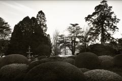 Tracy Ponich: Mounds, Retford Park, Bowral NSW