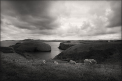 Residents, Carreg Samson, West Wales