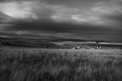 Severn Park landscape